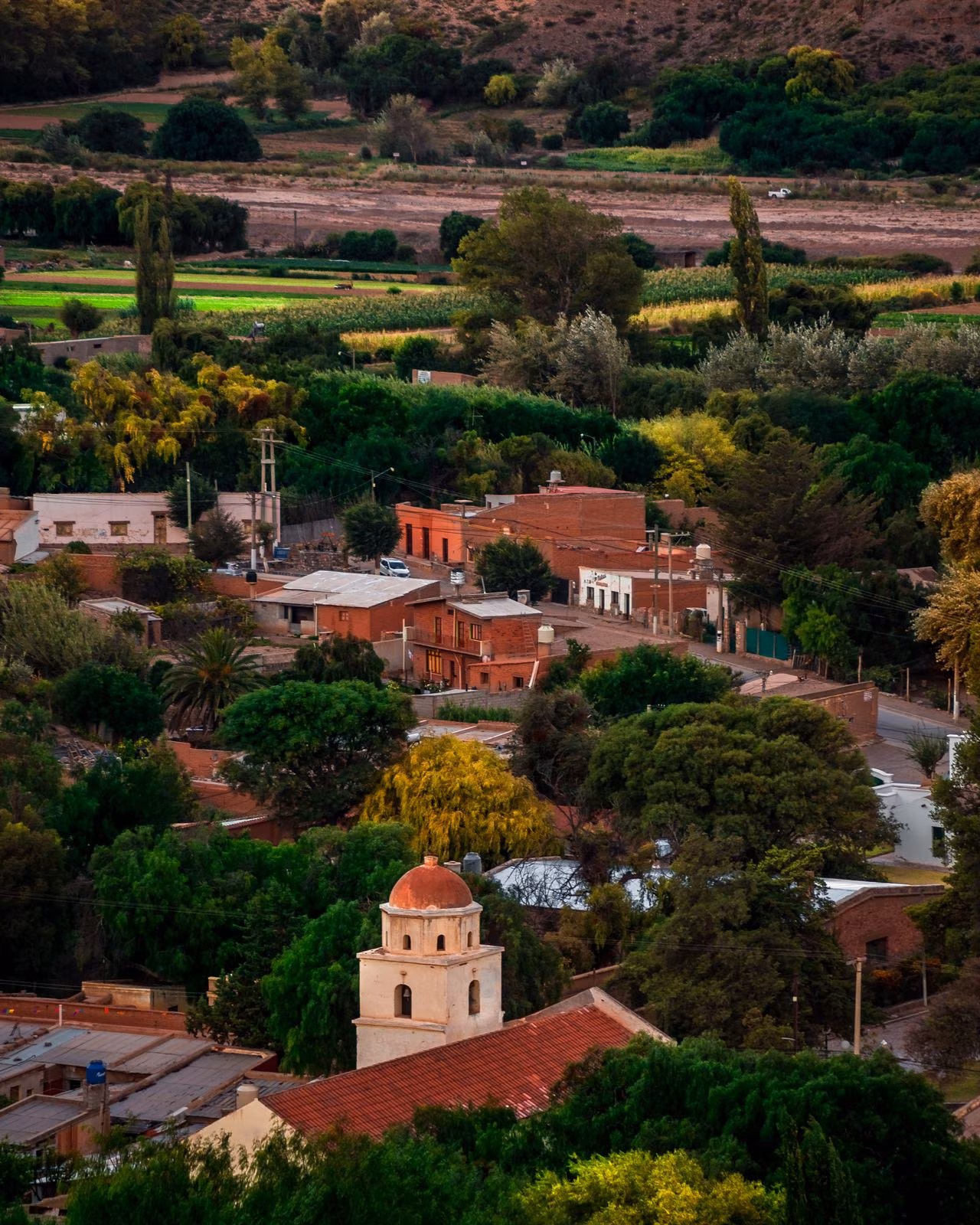 Between Tango, Jungle and Andes – The Treasures of Northern Argentina