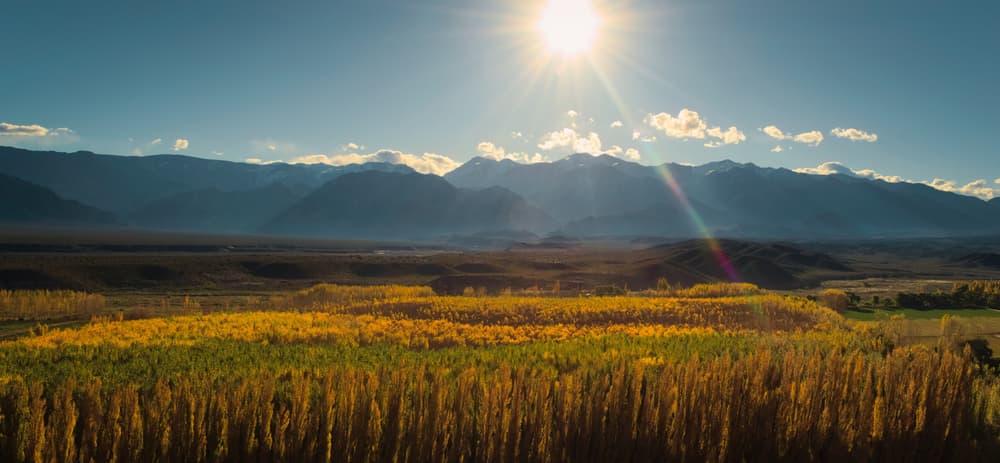 Uco Valley